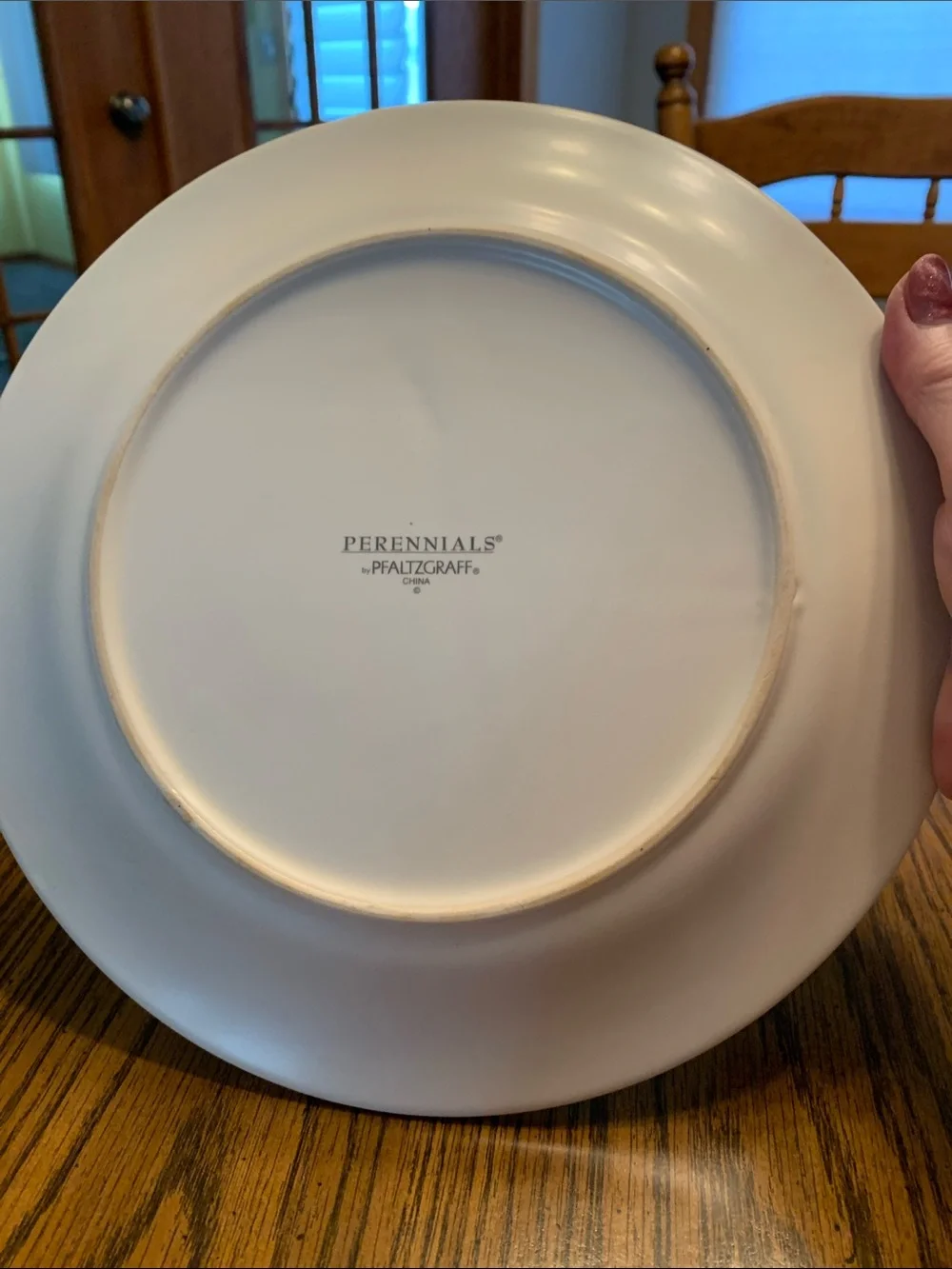 Pfaltzgraff Dinner Plate - Single Piece. Perennials Pattern.
